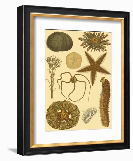 Underwater Oddities I-Vision Studio-Framed Art Print