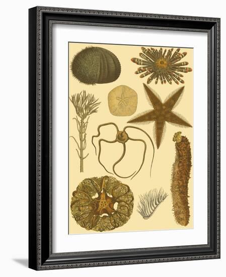 Underwater Oddities I-Vision Studio-Framed Art Print