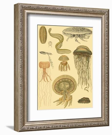 Underwater Oddities II-Vision Studio-Framed Art Print