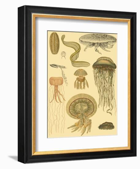 Underwater Oddities II-Vision Studio-Framed Art Print