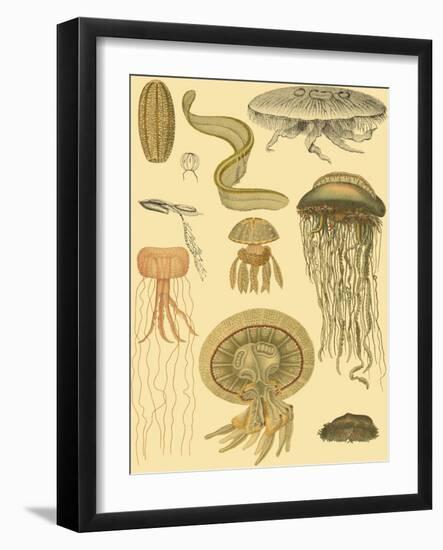 Underwater Oddities II-Vision Studio-Framed Art Print
