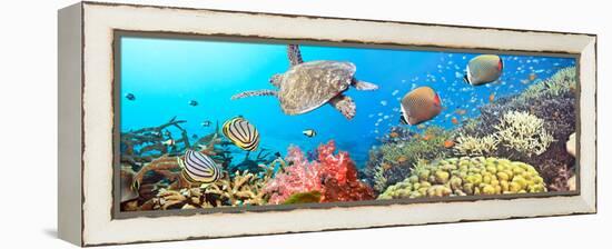 Underwater Panorama-GoodOlga-Framed Premier Image Canvas