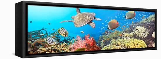 Underwater Panorama-GoodOlga-Framed Premier Image Canvas