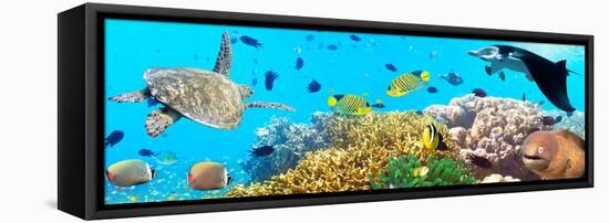 Underwater Panorama-GoodOlga-Framed Premier Image Canvas