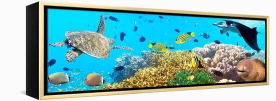 Underwater Panorama-GoodOlga-Framed Premier Image Canvas