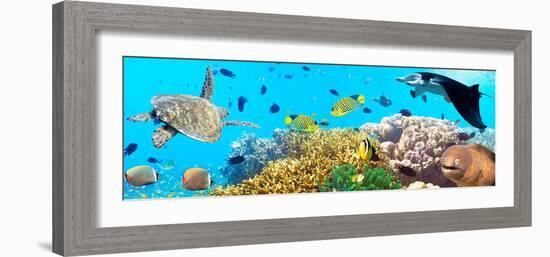 Underwater Panorama-GoodOlga-Framed Photographic Print