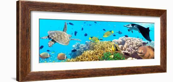 Underwater Panorama-GoodOlga-Framed Photographic Print