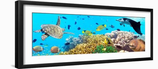 Underwater Panorama-GoodOlga-Framed Photographic Print