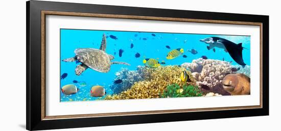 Underwater Panorama-GoodOlga-Framed Photographic Print