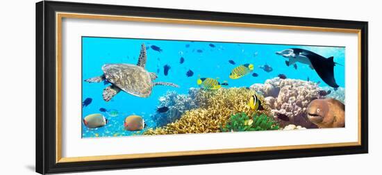 Underwater Panorama-GoodOlga-Framed Photographic Print