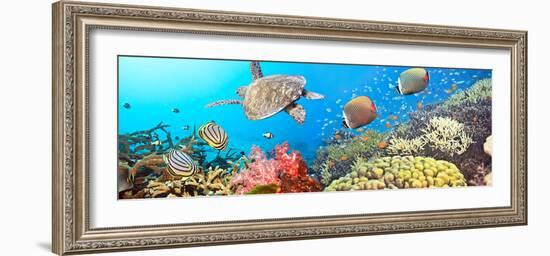 Underwater Panorama-GoodOlga-Framed Photographic Print