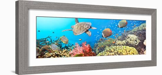 Underwater Panorama-GoodOlga-Framed Photographic Print