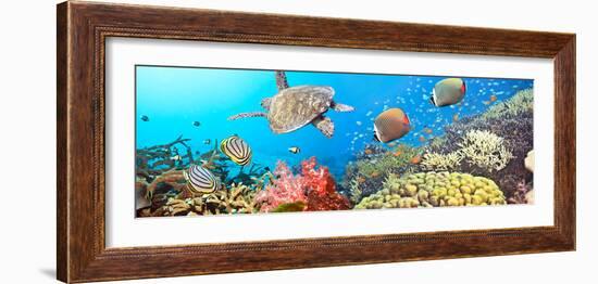 Underwater Panorama-GoodOlga-Framed Photographic Print