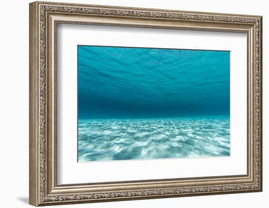 Underwater Photograph of a Textured Sandbar in Clear Blue Water Near Staniel Cay, Exuma, Bahamas-James White-Framed Photographic Print