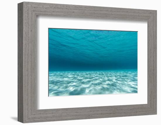 Underwater Photograph of a Textured Sandbar in Clear Blue Water Near Staniel Cay, Exuma, Bahamas-James White-Framed Photographic Print