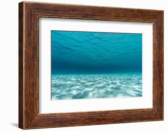 Underwater Photograph of a Textured Sandbar in Clear Blue Water Near Staniel Cay, Exuma, Bahamas-James White-Framed Photographic Print