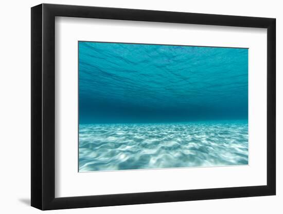 Underwater Photograph of a Textured Sandbar in Clear Blue Water Near Staniel Cay, Exuma, Bahamas-James White-Framed Photographic Print