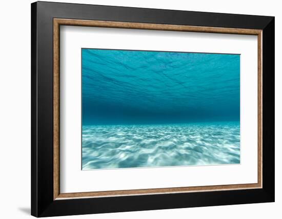 Underwater Photograph of a Textured Sandbar in Clear Blue Water Near Staniel Cay, Exuma, Bahamas-James White-Framed Photographic Print