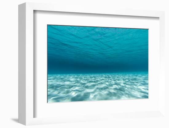 Underwater Photograph of a Textured Sandbar in Clear Blue Water Near Staniel Cay, Exuma, Bahamas-James White-Framed Photographic Print