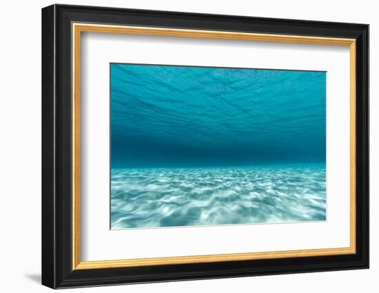 Underwater Photograph of a Textured Sandbar in Clear Blue Water Near Staniel Cay, Exuma, Bahamas-James White-Framed Photographic Print