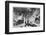 Underwater Photography, 19th Century-Science Photo Library-Framed Photographic Print