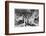 Underwater Photography, 19th Century-Science Photo Library-Framed Photographic Print