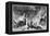 Underwater Photography, 19th Century-Science Photo Library-Framed Premier Image Canvas