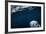 Underwater Polar Bear near Frozen Strait, Nunavut, Canada-Paul Souders-Framed Photographic Print