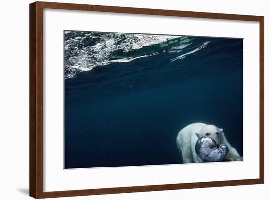 Underwater Polar Bear near Frozen Strait, Nunavut, Canada-Paul Souders-Framed Photographic Print