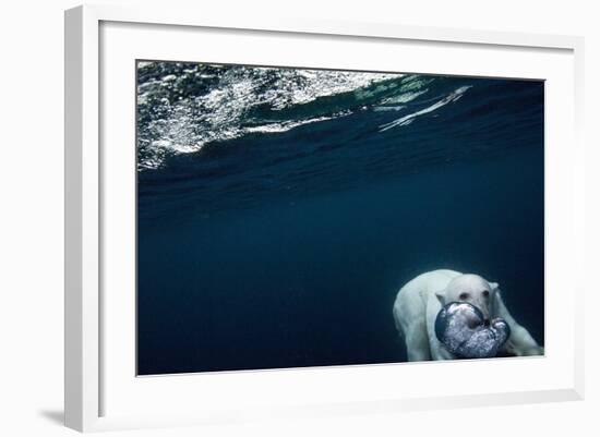 Underwater Polar Bear near Frozen Strait, Nunavut, Canada-Paul Souders-Framed Photographic Print