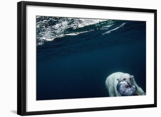 Underwater Polar Bear near Frozen Strait, Nunavut, Canada-Paul Souders-Framed Photographic Print