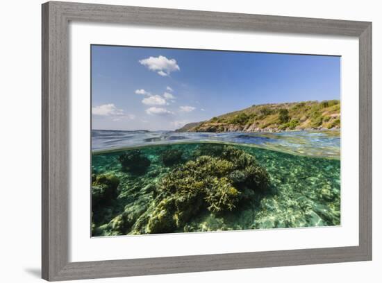 Underwater Reef System of the Marine Reserve on Moya Island, Nusa Tenggara Province, Indonesia-Michael Nolan-Framed Photographic Print