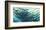 Underwater Reflections-Margaret Juul-Framed Art Print