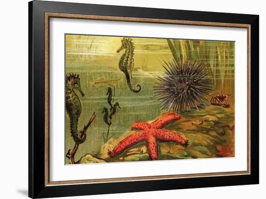 Underwater Scene with Starfish and Seahorses-null-Framed Art Print