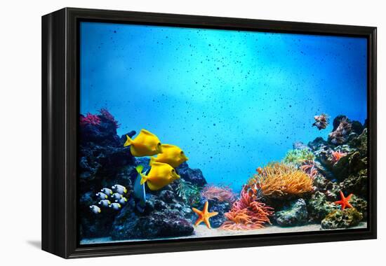 Underwater Scene-Michal Bednarek-Framed Premier Image Canvas