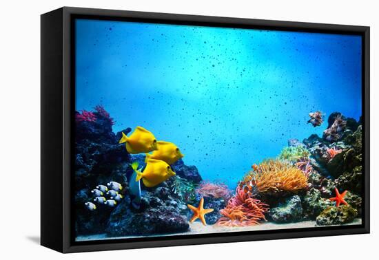 Underwater Scene-Michal Bednarek-Framed Premier Image Canvas