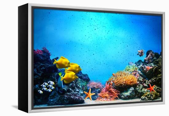 Underwater Scene-Michal Bednarek-Framed Premier Image Canvas