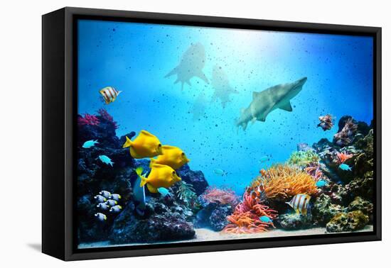 Underwater Scene-Michal Bednarek-Framed Premier Image Canvas