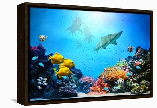 Underwater Scene-Michal Bednarek-Framed Premier Image Canvas