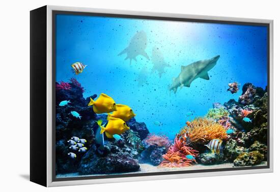 Underwater Scene-Michal Bednarek-Framed Premier Image Canvas