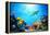 Underwater Scene-Michal Bednarek-Framed Premier Image Canvas