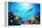 Underwater Scene-Michal Bednarek-Framed Premier Image Canvas