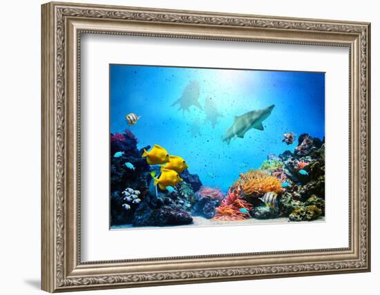 Underwater Scene-Michal Bednarek-Framed Photographic Print