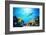 Underwater Scene-Michal Bednarek-Framed Photographic Print