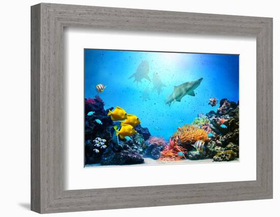 Underwater Scene-Michal Bednarek-Framed Photographic Print