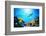 Underwater Scene-Michal Bednarek-Framed Photographic Print