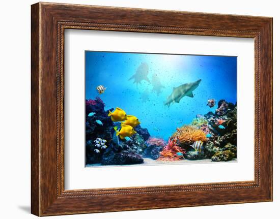 Underwater Scene-Michal Bednarek-Framed Photographic Print