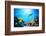 Underwater Scene-Michal Bednarek-Framed Photographic Print