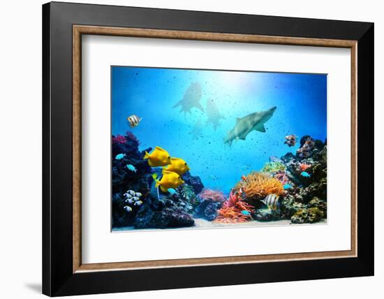 Underwater Scene-Michal Bednarek-Framed Photographic Print