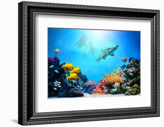 Underwater Scene-Michal Bednarek-Framed Photographic Print